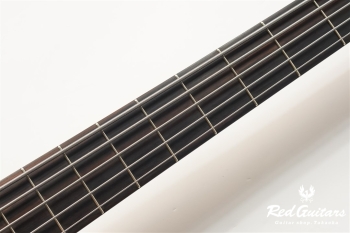Platinum Series Single-Cut , e-volution 5 - Macassar Ebony